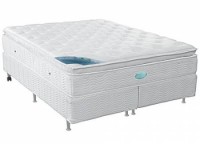 Conj.Evolution Luxo Pocket